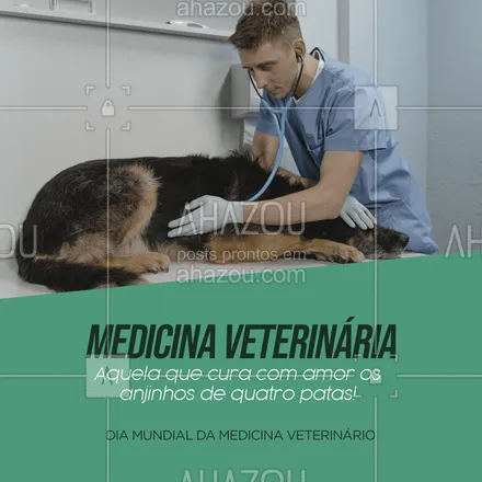 posts, legendas e frases de veterinário para whatsapp, instagram e facebook: A medicina veterinária com certeza é uma das profissões mais nobres! 👏🏻💙💪🏻
#diadamedicinaveterinaria #medicinaveterinaria #AhazouPet #petvet  #veterinaria  #vet  #medvet 