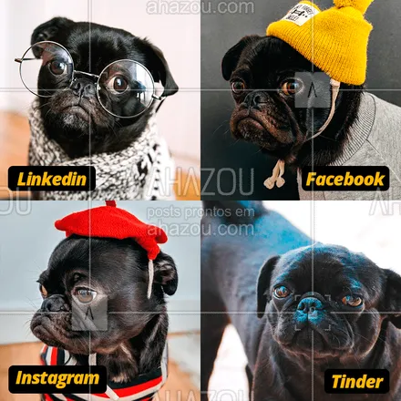 posts, legendas e frases de assuntos variados de Pets para whatsapp, instagram e facebook: E você, como é em cada rede social? ?
#meme #facebook #instagram #tinder #linkedin #ahazou