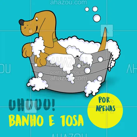 posts, legendas e frases de petshop para whatsapp, instagram e facebook: Quem quer promo de banho e tosa? Aproveite e cuide do seu pet! ? #banhoetosa #ahazoupet #Pet 
