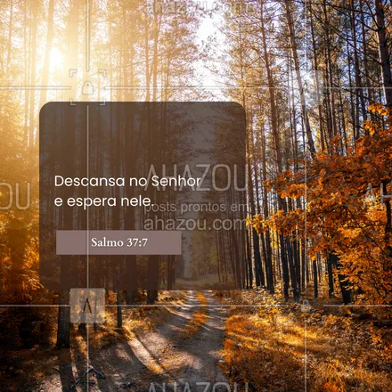posts, legendas e frases de igrejas & espiritualidade cristã para whatsapp, instagram e facebook: Paciência e confiança em Deus trazem paz ao coração. 🌻 #Salmo37 #AhazouFé #biblia #Deus #fé #salmos #palavradeDeus #féemDeus