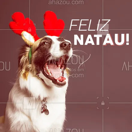 posts, legendas e frases de assuntos variados de Pets para whatsapp, instagram e facebook: Feliz NatAU para todos os papais e mamães de pets por aí!
#pet #ahazou #natal