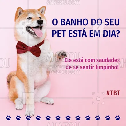 posts, legendas e frases de assuntos variados de Pets para whatsapp, instagram e facebook: Confira nossa agenda e marque o horário do seu melhor amigo!  #AhazouPet #tbt  #cats #dogsofinstagram #petlovers #petsofinstagram #dogs #petoftheday