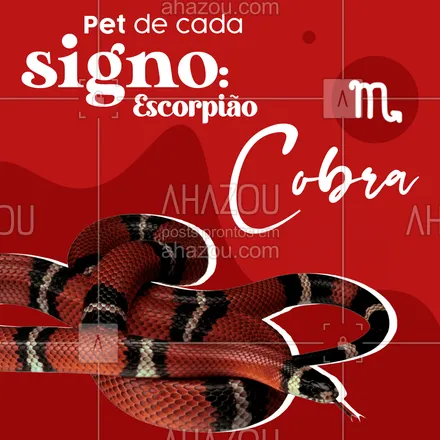 posts, legendas e frases de petshop, assuntos variados de Pets para whatsapp, instagram e facebook: Para os escorpianos, o pet que mais lhe representam são as cobras, mas não por serem perigosas, mas por serem exóticas e apresentarem certo poder. Já que demandam pouco cuidado e assustam aqueles que não estão acostumados com seu jeito. #AhazouPet #pet #signo #astrologia #curiosidade #petlover