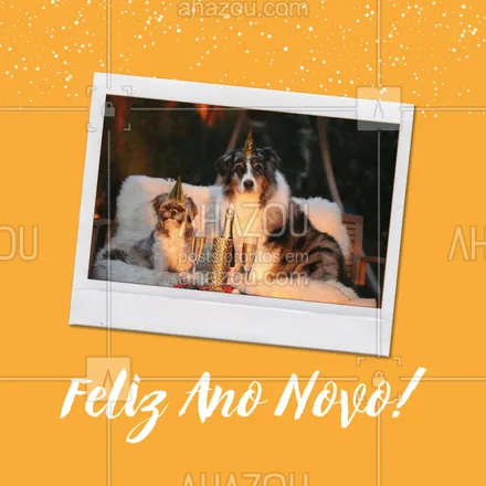 posts, legendas e frases de assuntos variados de Pets para whatsapp, instagram e facebook: Que você possa comemorar o ANO NOVO junto de quem você ama! ✨??
 #AhazouPet  #petlovers #pet #anonovo #felizanonovo 