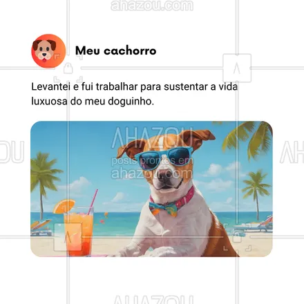 posts, legendas e frases de dog walker & petsitter, veterinário, petshop, assuntos variados de Pets para whatsapp, instagram e facebook: Levantei e fui trabalhar para sustentar a vida luxuosa do meu doguinho. 🐶💼 Parece que todos os meus esforços são dedicados a garantir que ele tenha a melhor cama, brinquedos e petiscos! Às vezes me pergunto quem está realmente no controle aqui. 😅💸 Afinal, todo o esforço vale a pena quando vejo a felicidade no rostinho dele. 🐾❤️ #VidaLuxuosa #DoguinhoChique #TrabalhoComAmor #VidaDePetLover #MeuMelhorAmigo #AhazouPet