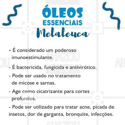 posts, legendas e frases de terapias complementares para whatsapp, instagram e facebook: Você sabia que o óleo de melaleuca tem todos esses benefícios? #oleosessenciais #oleodemelaleuca #ahazou #bemestar