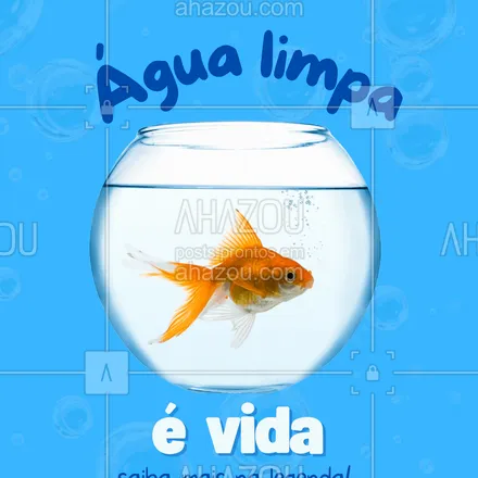 posts, legendas e frases de  para whatsapp, instagram e facebook: A qualidade da água é essencial pra saúde dos peixes.
Faça trocas parciais regularmente, use condicionadores e monitore os níveis de pH, amônia e nitrito.
Peixes saudáveis vivem em águas saudáveis!
#cuidadoscompeixes #aquariosaudavel #vidanoaquario #peixefeliz #dicasdeaquarismo