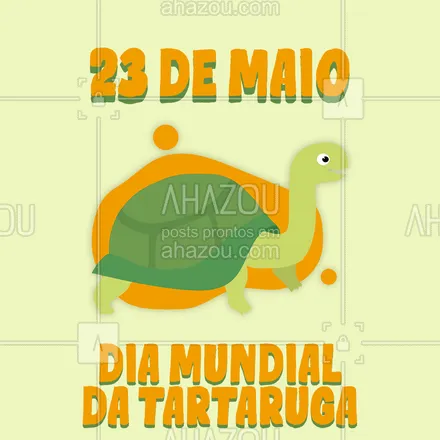 posts, legendas e frases de posts para todos para whatsapp, instagram e facebook:  Esse dia tem como objetivo aumentar o nosso conhecimento e respeito pelas tartarugas. Feliz dia da tartaruga! ? #tartaruga #diamundialdatartaruga #animais #ahazou 