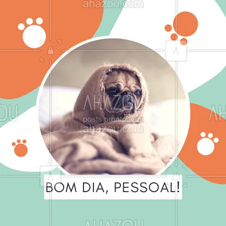 posts, legendas e frases de assuntos variados de Pets para whatsapp, instagram e facebook: Quem aí já acordou? ? #cachorro #ahazou #pet 