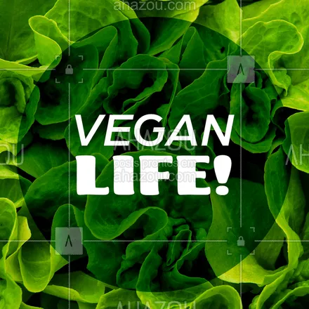 posts, legendas e frases de saudável & vegetariano para whatsapp, instagram e facebook: Venha ter uma vida vegana conosco! ??? #vegana #vegano #vegan #alimetação #animalfree #ahazou