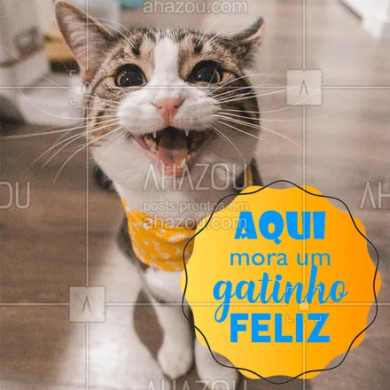 posts, legendas e frases de assuntos variados de Pets para whatsapp, instagram e facebook: E bota feliz nisso! Hahaha #gatos #ahazou #lovecats