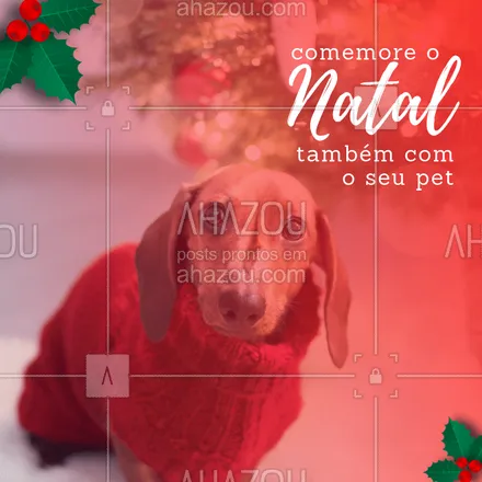 posts, legendas e frases de assuntos variados de Pets para whatsapp, instagram e facebook: Comemorar o Natal ao lado do pet? CLARO! #pet #énatal #doglovers #ahazou #amornonatal