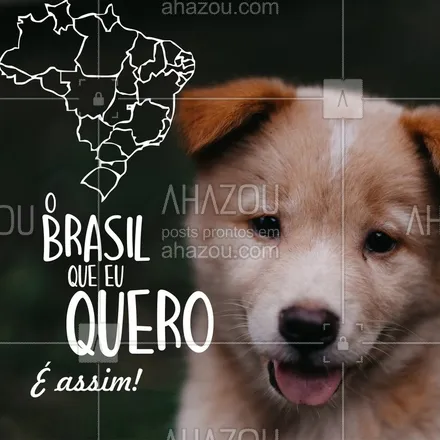 posts, legendas e frases de assuntos variados de Pets para whatsapp, instagram e facebook: Quem aí também acredita que só os filhotes fofos podem salvar o Brasil? ?? #cachorro #filhote #puppy #ahazoupet #animais #petshop 