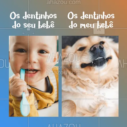 posts, legendas e frases de assuntos variados de Pets para whatsapp, instagram e facebook: Esses dentinhos... ? #cachorro #pet #ahazoupet #engracado #petlovers