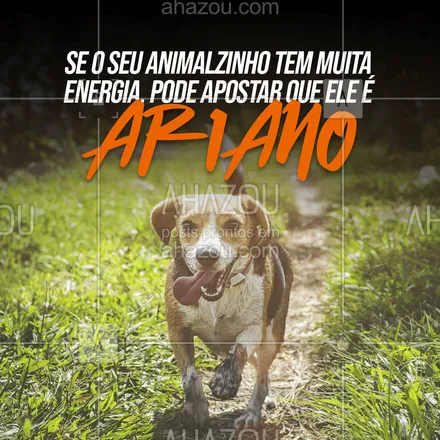 posts, legendas e frases de assuntos variados de Pets para whatsapp, instagram e facebook: Afinal, se tem alguém que tem energia de sobra, com certeza é um ariano! 😛😂
#pet #petariano #aries #signos #ariano #zodiaco #astrologia #AhazouPet #dogs  #ilovepets  #petlovers  #petoftheday 