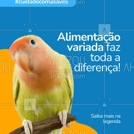 posts, legendas e frases de  para whatsapp, instagram e facebook: Sementes não são suficientes!
Inclua frutas, verduras e legumes seguros no cardápio da sua ave (em pequenas porções e sempre fresquinhos).
Nutrição boa = penas brilhantes e imunidade em dia! 🐣
#alimentacaodeaves #cuidadoscomaves #avefeliz #nutricaodeaves #passarinhosdomesticos