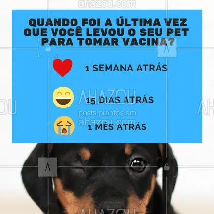 posts, legendas e frases de veterinário para whatsapp, instagram e facebook: E ai papais e mamãe. Quando foi?Conta aqui pra gente! ??
#ahazoupet #enquete #petlovers #pet #dog #cat #vacinas