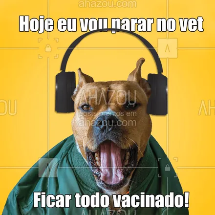 posts, legendas e frases de veterinário para whatsapp, instagram e facebook: Nossa versão do funk Hoje eu vou parar na gaiola é bem melhor, né? ?? Vem pro vet colocar as vacinas em dia! ?
#vet #veterinario #ahazou #funk #gaiola #musicas #tophits #vacina #petlovers