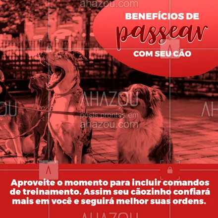posts, legendas e frases de assuntos variados de Pets para whatsapp, instagram e facebook: Saiba dos benefícios de levar seu cãozinho para passear!
#ahazou #cachorros #pet #animaisdeestimacao #passeio