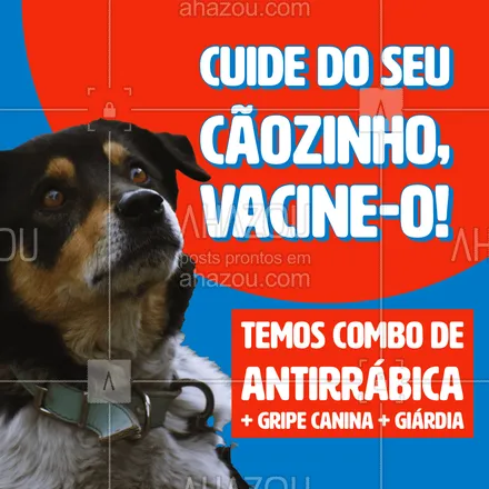 posts, legendas e frases de veterinário para whatsapp, instagram e facebook: Um cão vacinado é um cão saudável e protegido! ?
#vacinacaopet #pet #pets #dog #AhazouPet  #medvet #vetpet #clinicaveterinaria