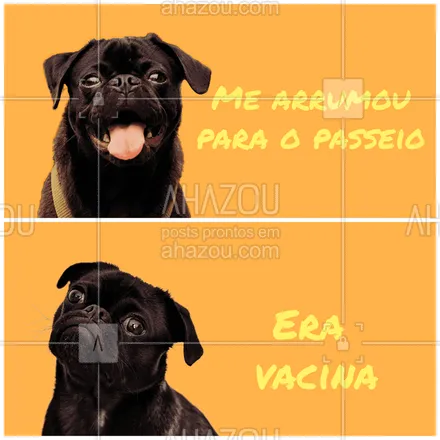 posts, legendas e frases de veterinário para whatsapp, instagram e facebook: Mamãe me enganou! ? #cachorro #pet #ahazoupet #engracado