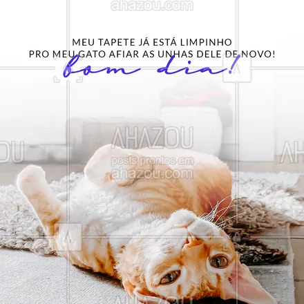 posts, legendas e frases de limpeza de sofás & tapetes para whatsapp, instagram e facebook: Ele pediu pra avisar que amou começar o dia assim. ??#AhazouServiços #limpeza #sofa #tapete #motivacional #frase #bomdia #gato