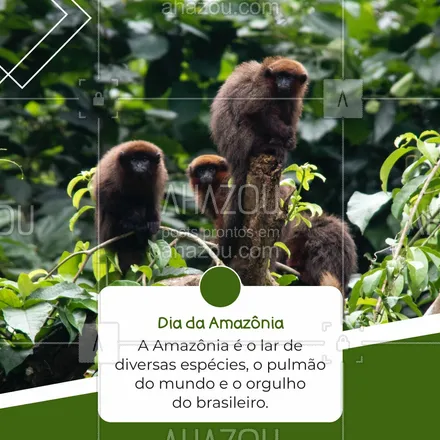 posts, legendas e frases de posts para todos para whatsapp, instagram e facebook: Preservar a Amazônia é o maior ato de humanidade que podemos ter! #ahazou #frasesmotivacionais  #motivacionais  #motivacional   #quote #diadaAmazônia 