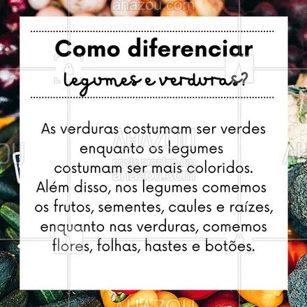 posts, legendas e frases de hortifruti para whatsapp, instagram e facebook: Agora você já sabe como diferenciar legumes e verduras! ? #legumes #verduras #ahazoutaste #hortifruti #vidasaudavel #alimentacaosaudavel #ahazoutaste 