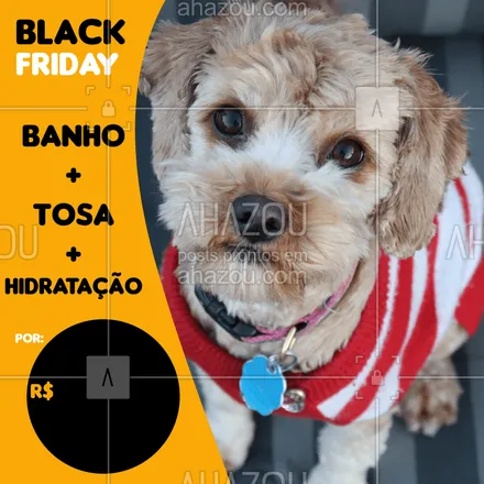 posts, legendas e frases de petshop para whatsapp, instagram e facebook: Aproveite a nossa promoção de black friday e traga seu pet para um dia de beleza <3 #banho #tosa #ahazoupet #meupet #petshop #vet