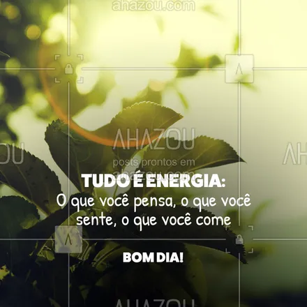 posts, legendas e frases de hortifruti para whatsapp, instagram e facebook: Para hoje alimente-se somente de saúde, positividade e amor! ❤️ Nossos produtos são frescos, saudáveis e de qualidade. ??? Venha encher sua sacola de energia boa e tenha um ótimo dia. ☀️ #bomdia #motivacional #ahazoutaste   #hortifruti #qualidade #vidasaudavel #frutas #organic #alimentacaosaudavel