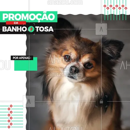 posts, legendas e frases de assuntos variados de Pets para whatsapp, instagram e facebook: Venham aproveitar nossa promoção em banho mais tosa do seu pet, agende já seu horário para seu dog! #BanhoeTosa #Ahazou #Dog 