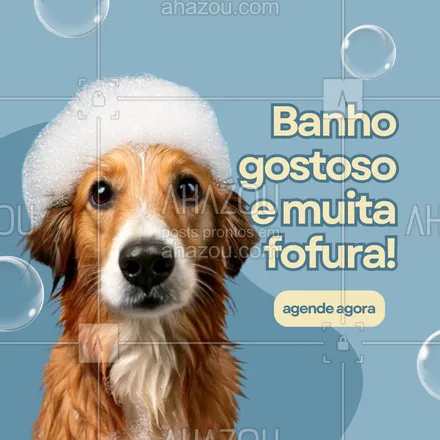 posts, legendas e frases de petshop para whatsapp, instagram e facebook: Banho é diversão também! 🐕✨ Traga seu pet para um banho e tosa completo, com direito a muita brincadeira e aquele cuidado especial. Ele vai amar a experiência e sair cheirosinho para te encher de carinho! 💙 #BanhoDivertido #BanhoETosa #PetLimpinho #AhazouPet #petshop #serviçosdepetshop #banho #tosa