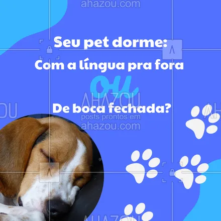 posts, legendas e frases de assuntos variados de Pets para whatsapp, instagram e facebook: Conta pra gente como seu pet dorme? Linguinha pra fora ou com a boquinha fechada? #enquete #pets #petlovers #dogs #meme #AhazouPet