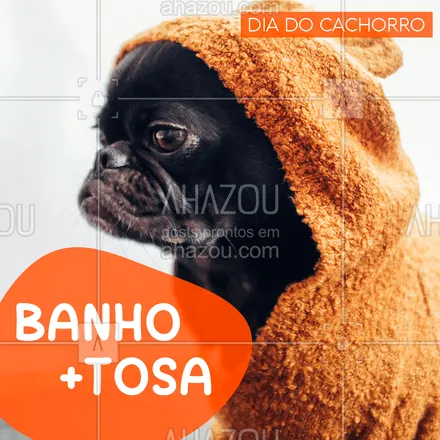 posts, legendas e frases de petshop para whatsapp, instagram e facebook: Promoção especial do dia! Aproveite nosso combo de banho e tosa por apenas R$X!
#Banho #AhazouPet #Tosa
