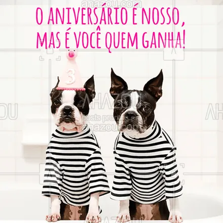 posts, legendas e frases de petshop para whatsapp, instagram e facebook: Nosso PetShop está fazendo aniversário hoje, mas o presente é todo seu!
Estamos com todos os serviços com descontos! Venha conferir!