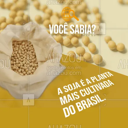 posts, legendas e frases de saudável & vegetariano para whatsapp, instagram e facebook: A soja chegou no Brasil no fim do século XIX e hoje, é a planta mais cultivada no país. De acordo com a Companhia Nacional de Abastecimento (CONAB), são quase 114 milhões de toneladas em uma área de 33,8 milhões de hectares. Sem dúvidas, é muita soja! #soja #proteínadasoja #curiosidades #vocêsabia #ahazoutaste #vegetariano  #vegan  #veggie 