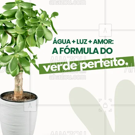 posts, legendas e frases de assuntos gerais de serviços para casa, arquitetura, design & decoração para whatsapp, instagram e facebook: Cuidar de plantas é mais do que seguir regras — é criar conexão.
Observe, toque, converse com elas.
🌿 O verde responde com beleza, saúde e energia boa pra sua casa.
#cuidadoscomplantas #plantlover #plantoterapia #casacomplantas #verdecasa #energiaverde
