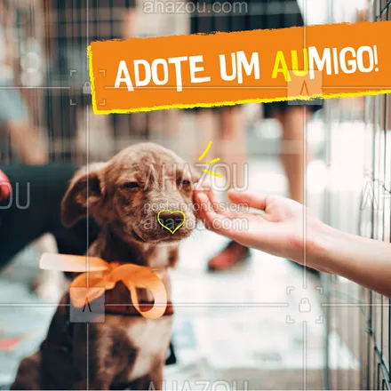 posts, legendas e frases de assuntos variados de Pets para whatsapp, instagram e facebook: Adote um Aumigo e seja felizzzz! #dog #adotar #ahazou #amor