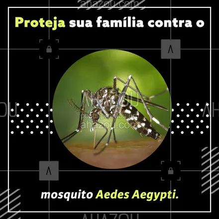 posts, legendas e frases de dedetizador para whatsapp, instagram e facebook: Contrate o serviço de dedetização e previna doenças como Dengue, Chikungunya e Zika Vírus. ???‍?‍?‍? #dedetizador #dedetização #ahazou #controledepragas #pragasurbanas #dengue #chikungunya #zikavirus