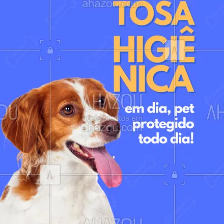 posts, legendas e frases de para whatsapp, instagram e facebook: Legenda:
Evite mau cheiro, infecções e incômodos no seu melhor amigo.
🛁 A tosa higiênica ajuda a manter tudo limpinho e saudável!
✅ Agende com a gente agora e dê esse cuidado essencial pro seu pet!
#tosaemdia #cuidadosdiarios #banhoetosa #higieneanimal #petlimpo #petcheiroso #tosahigienica #petcare #agendeja #petshopamor