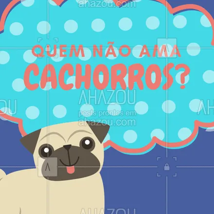 posts, legendas e frases de assuntos variados de Pets para whatsapp, instagram e facebook: Nós com certeza amamos! #amor #dog #ahazoupet #cachorros 