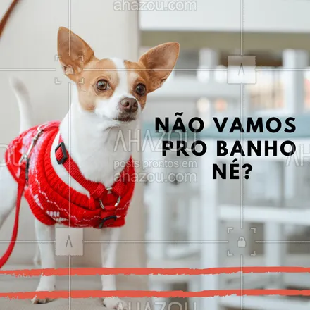 posts, legendas e frases de petshop para whatsapp, instagram e facebook: Vamos passear ou vamos pro banho? ? Seu pet também é assim? #pet #cachorro #ahazoupet #ahazou #banho #petshop