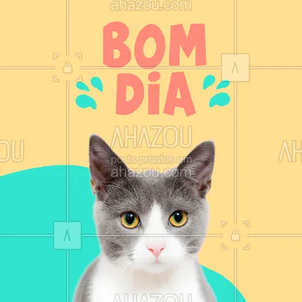posts, legendas e frases de assuntos variados de Pets para whatsapp, instagram e facebook: Um excelente dia para todos ! 
#bomdia #ahazou #pets #gatos