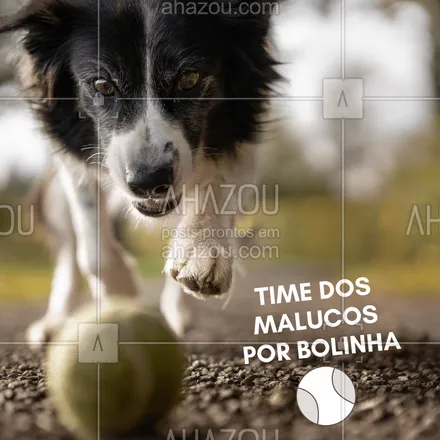 posts, legendas e frases de assuntos variados de Pets para whatsapp, instagram e facebook: Seu cachorro também é louco por bolinhas? #pet #ahazou #cachorro #brinque #bolinha