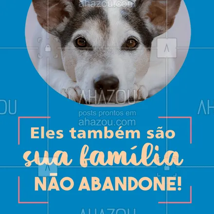 posts, legendas e frases de assuntos variados de Pets para whatsapp, instagram e facebook: Pets não são descartáveis! #nãoabandone #ahazou #pet
