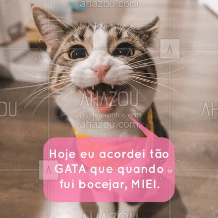 posts, legendas e frases de assuntos variados de Pets para whatsapp, instagram e facebook: hahaha quem mais acordou se sentindo assim? ? #gato #ahazou #engraçado