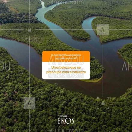 posts, legendas e frases de natura para whatsapp, instagram e facebook: Usar cosméticos que tratam a nossa pele e mantêm a Amazônia em pé não é só possível, é necessário. É por isso que o novo Natura Ekos promove o ciclo regenerativo da Amazônia, com bioprocessos que respeitam a floresta e as famílias que à protegem. #SomosTodosUmaNaturezaSó #AmazôniaViva #NaturaEkos  #AhazouNatura #ahazourevenda