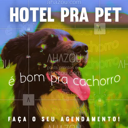 posts, legendas e frases de dog walker & petsitter para whatsapp, instagram e facebook: Diversão garantida!??
 #AhazouPet  #dogwalk #doglover #dogdaycare #hotelpet #hotel #agendamento