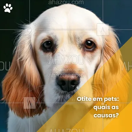 posts, legendas e frases de petshop para whatsapp, instagram e facebook: A otite pode ser causada por alergias, infecções, excesso de umidade e até a anatomia das orelhas do pet. Fique atento e busque ajuda veterinária para identificar e tratar as causas corretamente. Seu pet agradece! 💚🐱 #DicaDePet #SaúdePet #Otite #CuidadosPet #OtitePet #SaúdeAnimal #AhazouPet #petshop #dica #tratamento #otite  