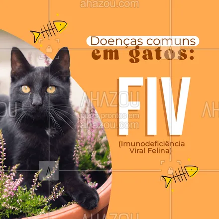 posts, legendas e frases de veterinário para whatsapp, instagram e facebook: A também conhecida AIDS Felina, acomete os bichanos devido à infecções provenintes da falta de imunidade no animal. A transmissão pode ocorrer pela saliva por conta de brigas e relações sexuais. Não existe cura. Uma forma de prevenção, é a castração ou manter os gatinhos em ambientes telados para que eles não tenham contato com a rua.
#AhazouPet #medicinaveterinaria #veterinarian #veterinaria #vet #petvet #medvet #vetpet #veterinary #veterinario #clinicaveterinaria